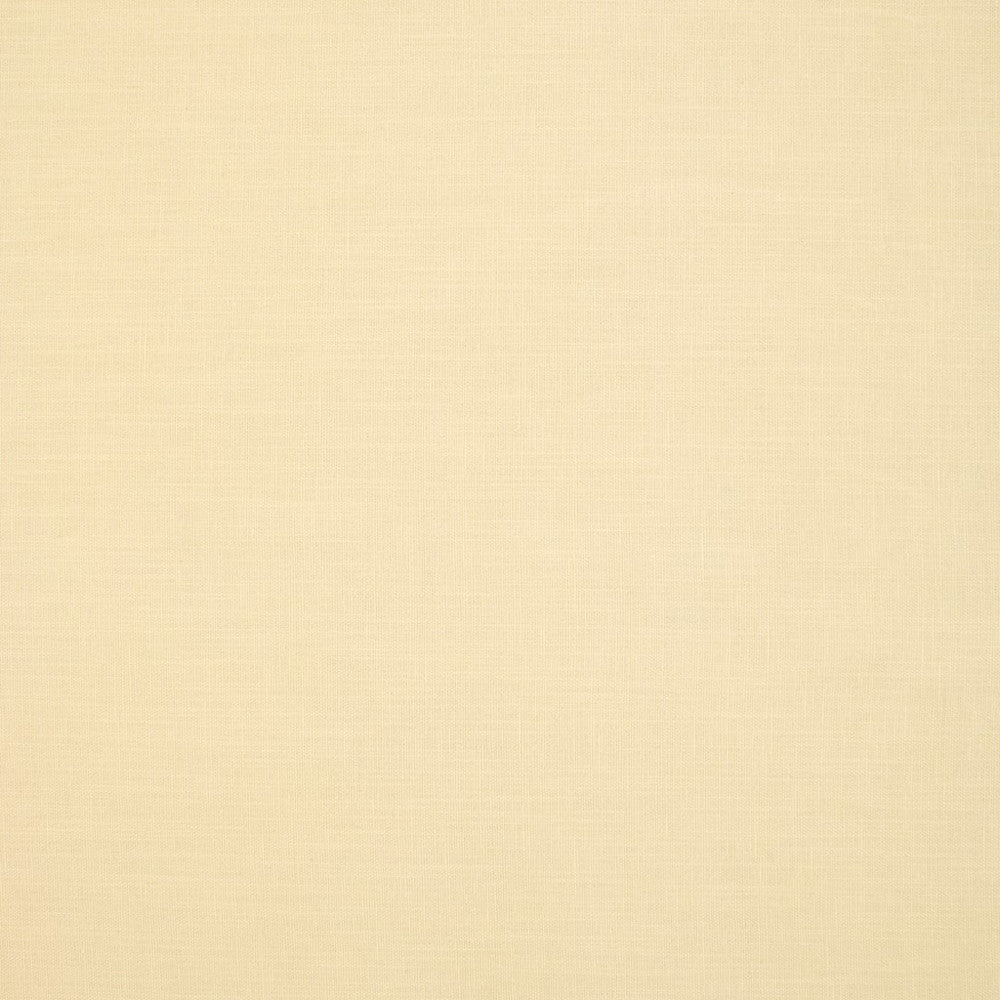 S6792 Ivory by Greenhouse Designer Fabric 54% Linen, 38% Viscose, 8% Cotton India 25,000 </p><p>Repeat: None 56" - Swanky Fabrics -