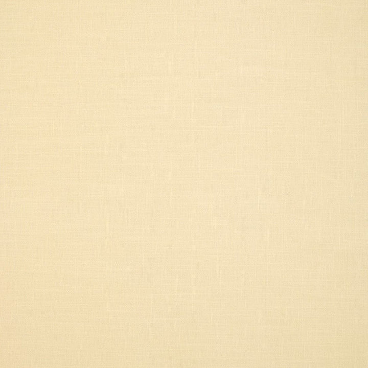 S6792 Ivory by Greenhouse Designer Fabric 54% Linen, 38% Viscose, 8% Cotton India 25,000 </p><p>Repeat: None 56" - Swanky Fabrics -