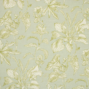 Greenhouse Fabric S6916 Dew