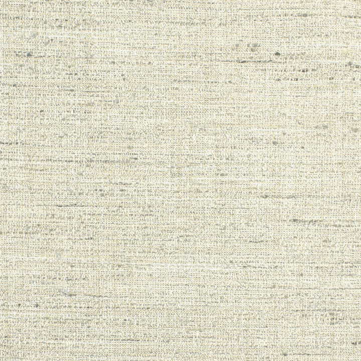 Sabre 1 Driftwood by Stout Designer Fabric COLOR MY WINDOW BIRCH/LINEN 100%POL INDIA WYZENBEEK 30 000 DOUBLE RUB WEAR TEST (HEAVY DUTY) Horizontal: 0.000 and Vertical: 0.000 55 in - Swanky Fabrics -