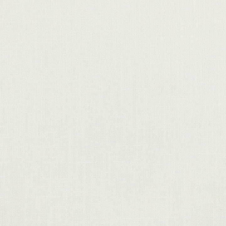 Salon 4 Chalk by Stout Designer Fabric THE NATURALS III 42%POL 20%COT 19%SVI 19%LIN INDIA Horizontal: 0.000 and Vertical: 0.000 55 in - Swanky Fabrics -