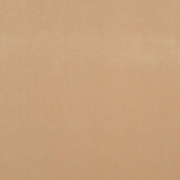 Salute 30J7191 by JF Crypton Designer Fabric Salute Crypton Home Book 100% Polyester Republic Of Korea 100000 Horizontal: and Vertical: 54 - Swanky Fabrics -