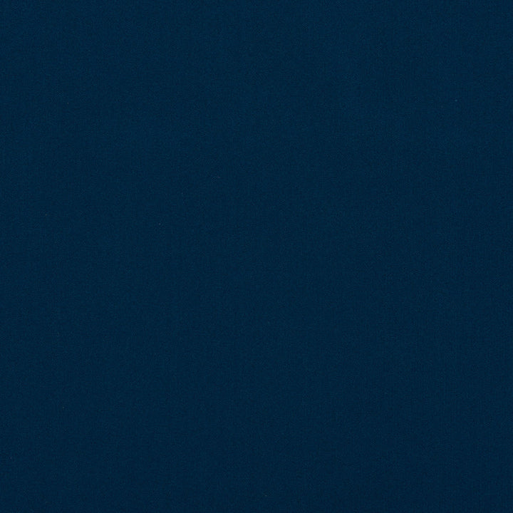 Salute 67J7191 by JF Crypton Designer Fabric Salute Crypton Home Book 100% Polyester Republic Of Korea 100000 Horizontal: and Vertical: 54 - Swanky Fabrics -