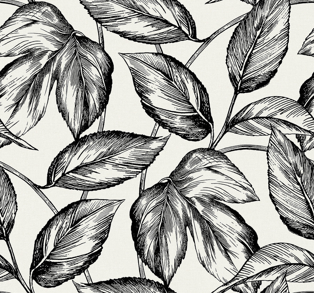 Beckett Sketched Leaves Volcanic Black SC20000 by Seabrook Designs Designer Wallpaper