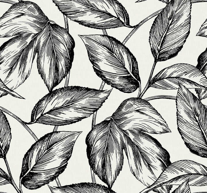 Beckett Sketched Leaves Volcanic Black SC20000 by Seabrook Designs Designer Wallpaper