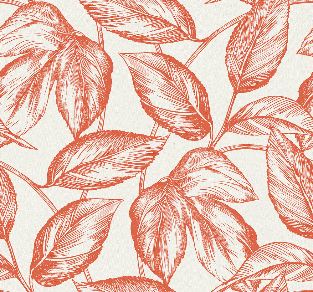 Beckett Sketched Leaves Rich Coral SC20001 by Seabrook Designs Designer Wallpaper