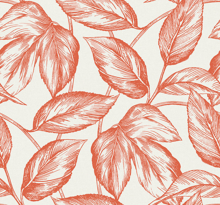 Beckett Sketched Leaves Rich Coral SC20001 by Seabrook Designs Designer Wallpaper