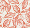 Seabrook Designs Wallpaper Beckett Sketched Leaves Rich Coral SC20001