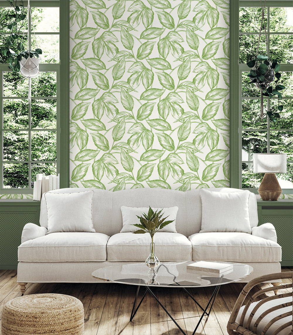 Beckett Sketched Leaves Apple Green SC20004 by Seabrook Designs Designer Wallpaper