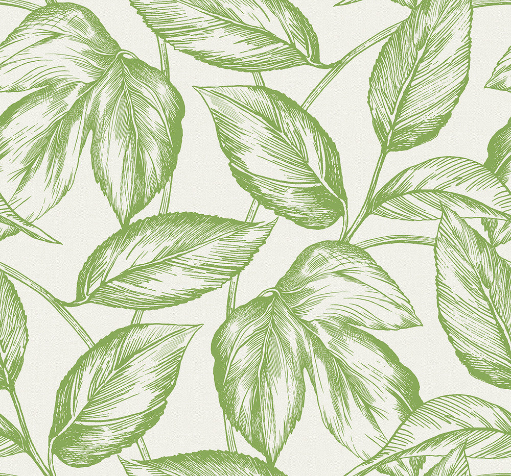 Beckett Sketched Leaves Apple Green SC20004 by Seabrook Designs Designer Wallpaper