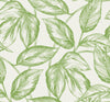 Seabrook Designs Wallpaper Beckett Sketched Leaves Apple Green SC20004