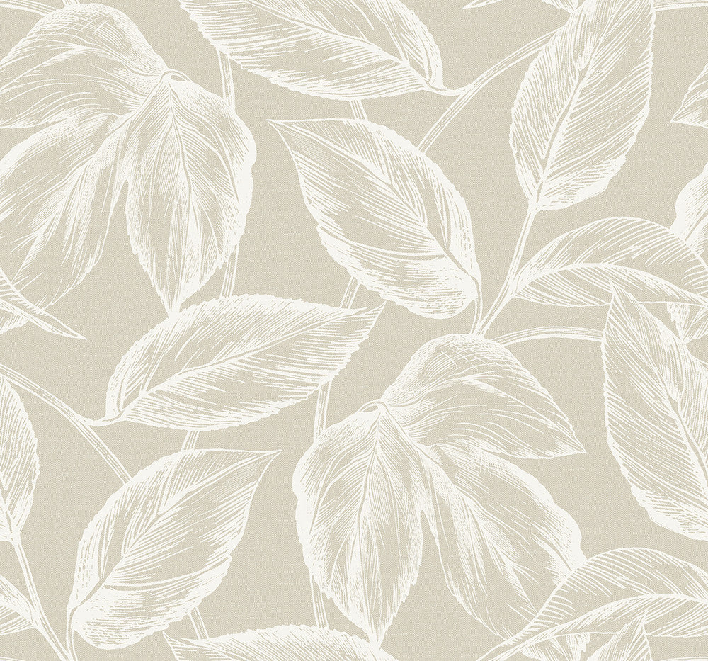 Beckett Sketched Leaves Oat SC20005 by Seabrook Designs Designer Wallpaper
