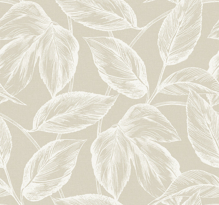 Beckett Sketched Leaves Oat SC20005 by Seabrook Designs Designer Wallpaper