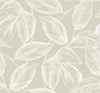Seabrook Designs Wallpaper Beckett Sketched Leaves Oat SC20005