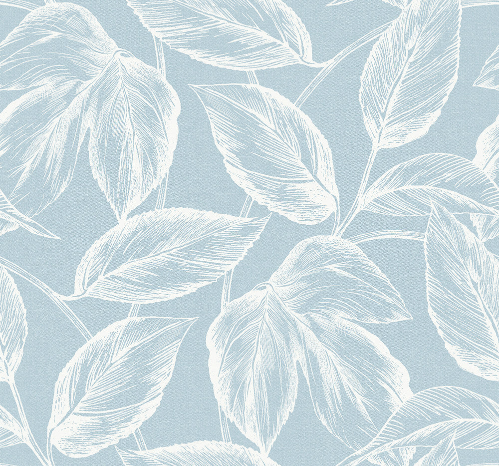 Beckett Sketched Leaves Baby Blue SC20022 by Seabrook Designs Designer Wallpaper