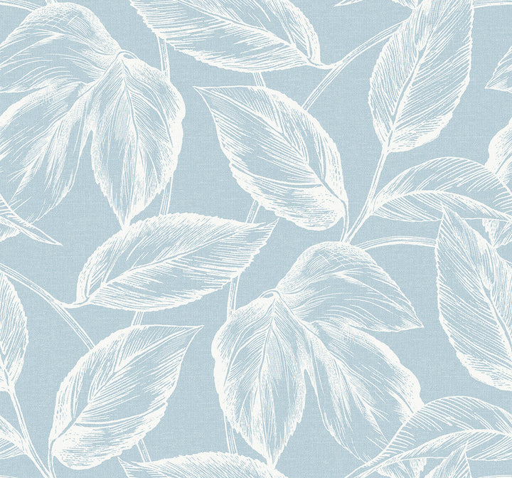 Beckett Sketched Leaves Baby Blue SC20022 by Seabrook Designs Designer Wallpaper