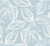 Seabrook Designs Wallpaper Beckett Sketched Leaves Baby Blue SC20022