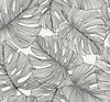 Seabrook Designs Wallpaper Tarra Monstera Leaf Contrasto SC20200
