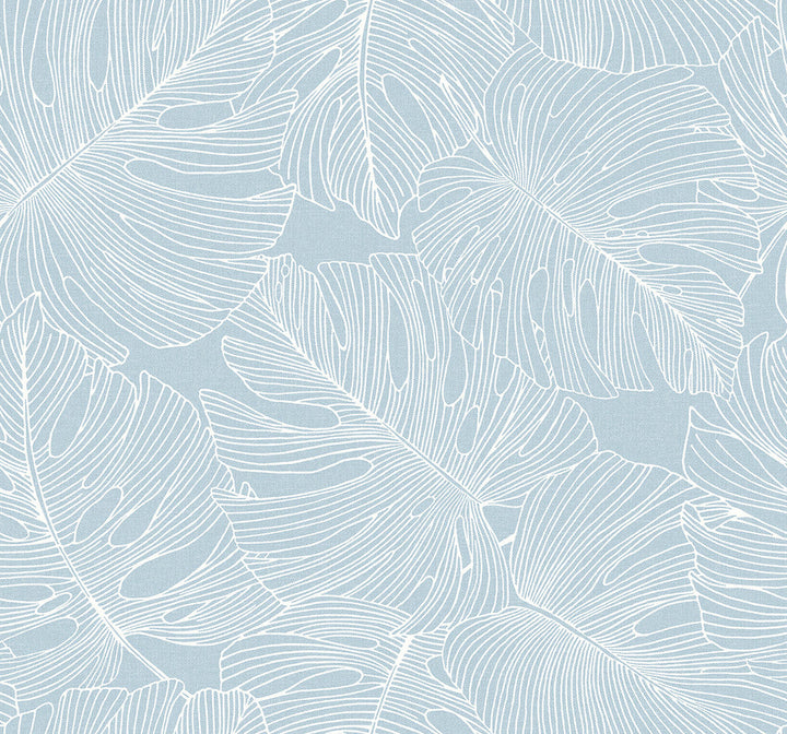 Tarra Monstera Leaf Early Sky SC20202 by Seabrook Designs Designer Wallpaper
