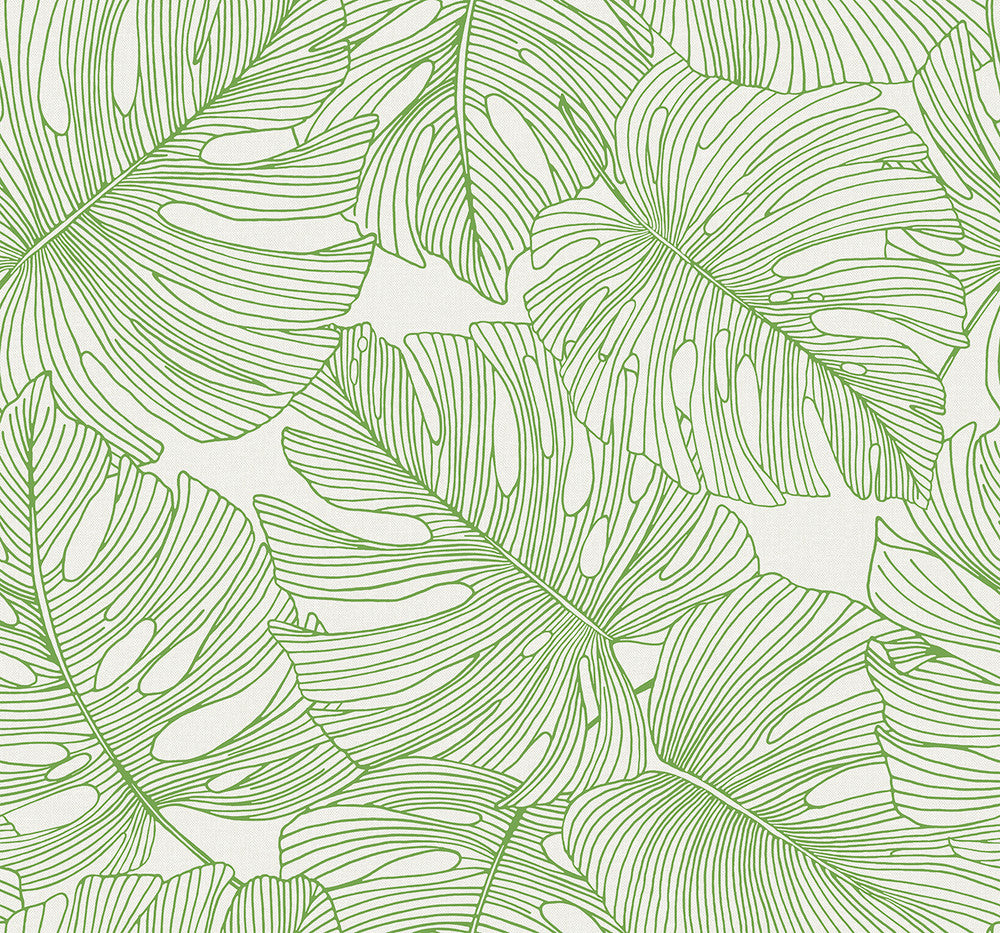 Tarra Monstera Leaf Hill Green SC20204 by Seabrook Designs Designer Wallpaper