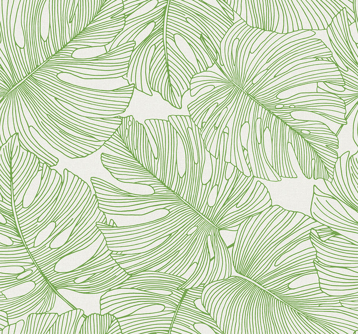 Tarra Monstera Leaf Hill Green SC20204 by Seabrook Designs Designer Wallpaper