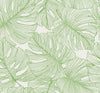 Seabrook Designs Wallpaper Tarra Monstera Leaf Hill Green SC20204