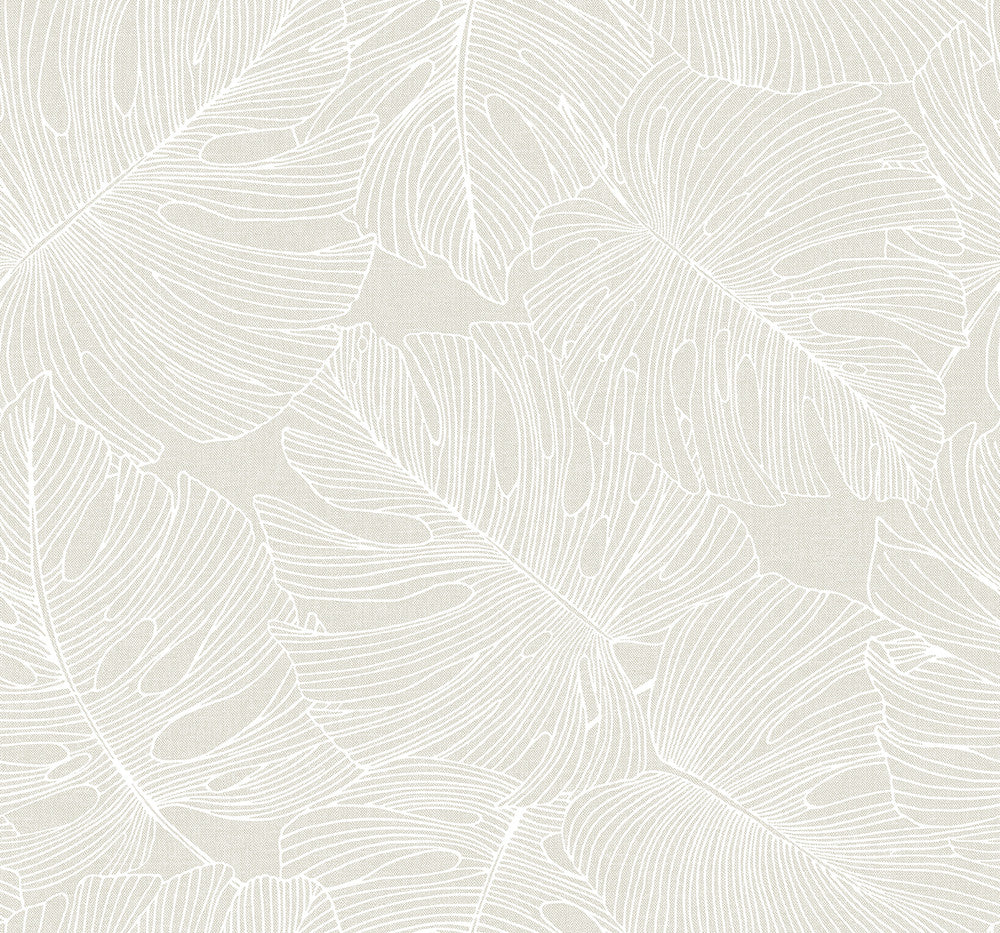 Tarra Monstera Leaf White Sand SC20205 by Seabrook Designs Designer Wallpaper