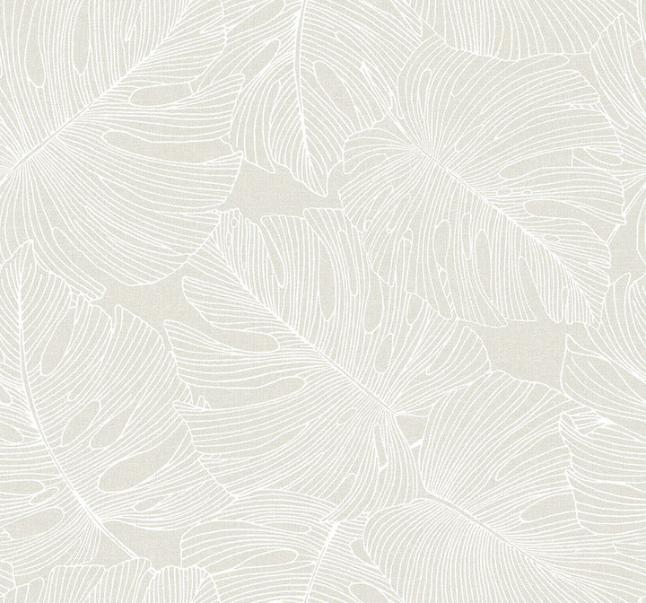 Tarra Monstera Leaf White Sand SC20205 by Seabrook Designs Designer Wallpaper
