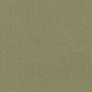 Scorpio Moss 50 by Norbar Designer Fabric SCORPIO 100% INHERENTLY FLAME INDIA 54" - Swanky Fabrics -
