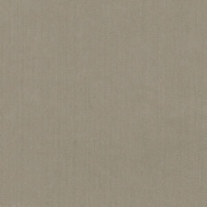 Scorpio Silt 4 by Norbar Designer Fabric SCORPIO 100% INHERENTLY FLAME INDIA 54" - Swanky Fabrics -