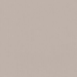 Scorpio Stone 31 by Norbar Designer Fabric SCORPIO 100% INHERENTLY FLAME INDIA 54" - Swanky Fabrics -
