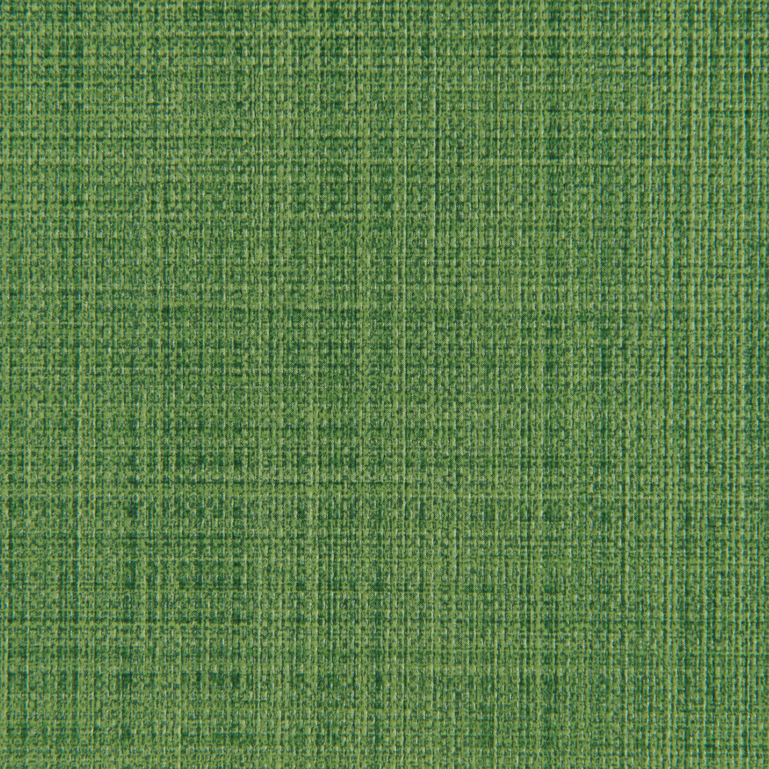 Kravet Contract Fabric Scrimshaw - Cactus