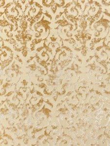 Scalamandre Fabric Venezia Silk Velvet Champagne SC270780001
