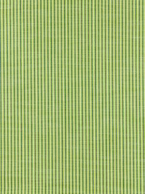 Tisbury Stripe Fern SC271090001 by Scalamandre Designer Fabric CHATHAM STRIPES & PLAIDS 100% SOLUTION DYED ACRYLIC MEXICO MEDIUM DUTY Horizontal: and Vertical: .25" 54 - Swanky Fabrics -