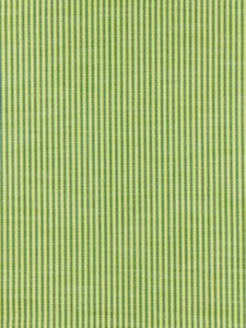 Scalamandre Fabric Tisbury Stripe Fern SC271090001