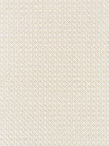 Scalamandre Fabric Floret Embroidery Champagne SC271330001