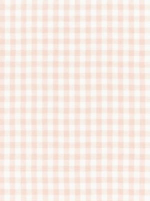 Swedish Linen Check Blush SC271660001 by Scalamandre Designer Fabric NORDEN 100% LINEN INDIA LIGHT DUTY Horizontal: and Vertical: 54 - Swanky Fabrics -