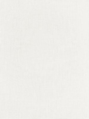 Aruba Sheer Whelk SC272010001 by Scalamandre Designer Fabric ISOLA INDOOR / OUTDOOR 100% SOLUTION DYED ACRYLIC GERMANY LIGHT DUTY Horizontal: 0" and Vertical: 0" 118 - Swanky Fabrics -