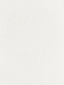 Scalamandre Fabric Aruba Sheer Whelk SC272010001