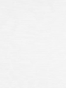 Scalamandre Fabric Riva Moire White SC272220001