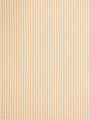 Scalamandre Fabric Kent Stripe Biscuit SC363950001