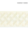 Scalamandre Trim Parquet Velvet Tape Bechamel SCT33260001