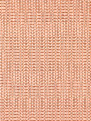 Bird'S Eye Weave Mango SC270680002 by Scalamandre Designer Fabric ENDLESS SUMMER INDOOR / OUTDOOR 100% POLYPROPYLENE BELGIUM MEDIUM DUTY Horizontal: 0.375" and Vertical: 0.375" 57 - Swanky Fabrics -