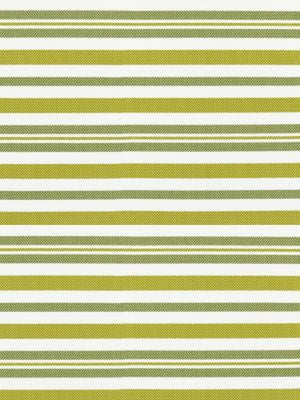 Santorini Stripe Palm SC271880002 by Scalamandre Designer Fabric ISOLA INDOOR / OUTDOOR 100% POLYOLEFIN U.S.A. HEAVY DUTY Horizontal: 11" and Vertical: 0" 52 - Swanky Fabrics -