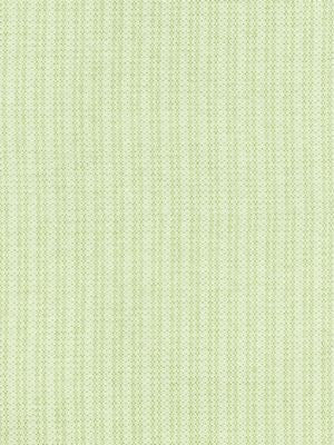 Tahiti Tweed Palm SC271920002 by Scalamandre Designer Fabric ISOLA INDOOR / OUTDOOR 100% POLYPROPYLENE BELGIUM HEAVY DUTY Horizontal: 0" and Vertical: 1.5" 59 - Swanky Fabrics -