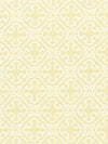 Scalamandre Fabric Ailin Lattice Weave Canary SC272140002