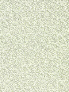 Scalamandre Fabric Risa Weave Fern SC272390002