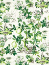 Scalamandre Fabric Shantung Garden Cotton Print Verdance SC165830003