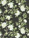 Scalamandre Fabric Peonia Linen Print Onyx SC166160003