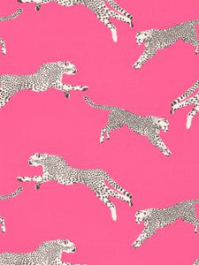Scalamandre Fabric Leaping Cheetah Cotton Print Bubblegum SC166340003